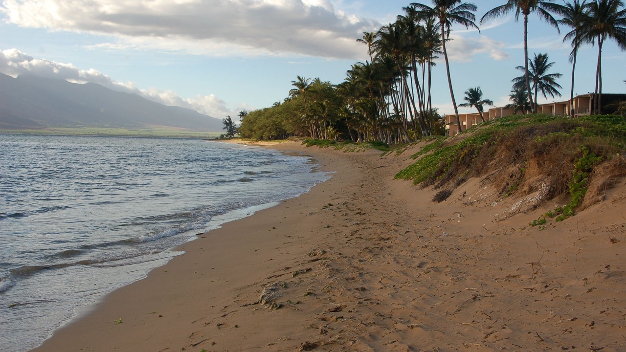 Photo of Others in Kihei