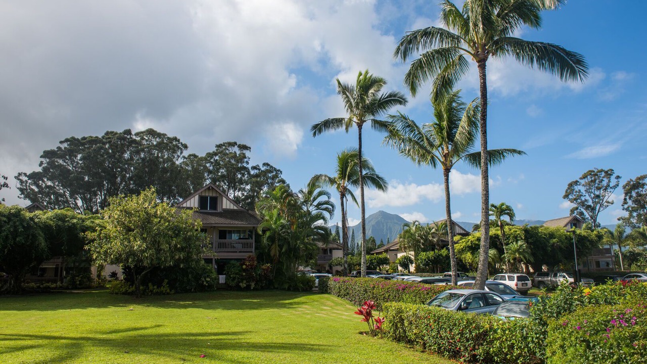 Photo of Others in Princeville