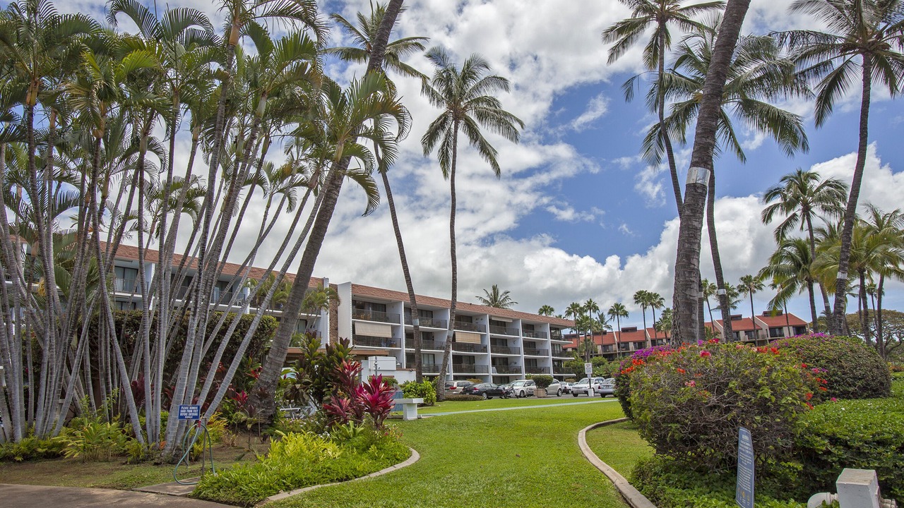 Photo of Others in Kihei