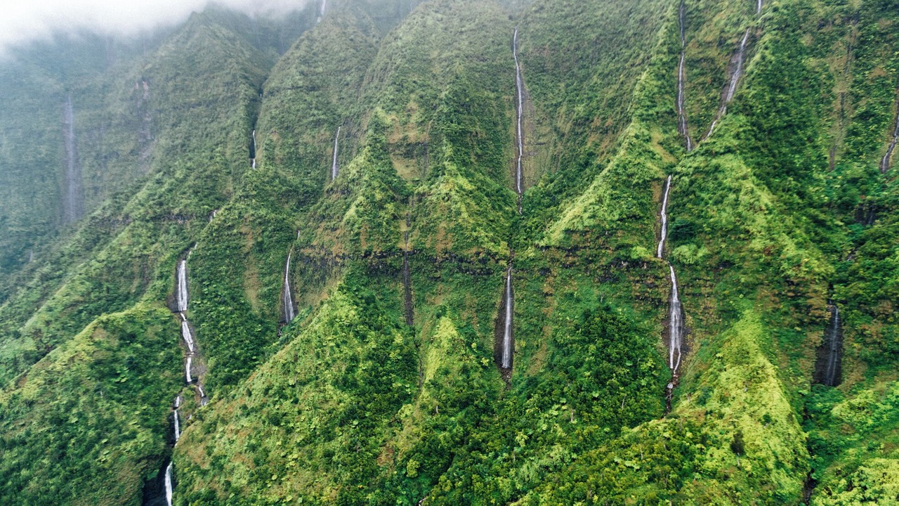 Photo of Others in Kaiulani