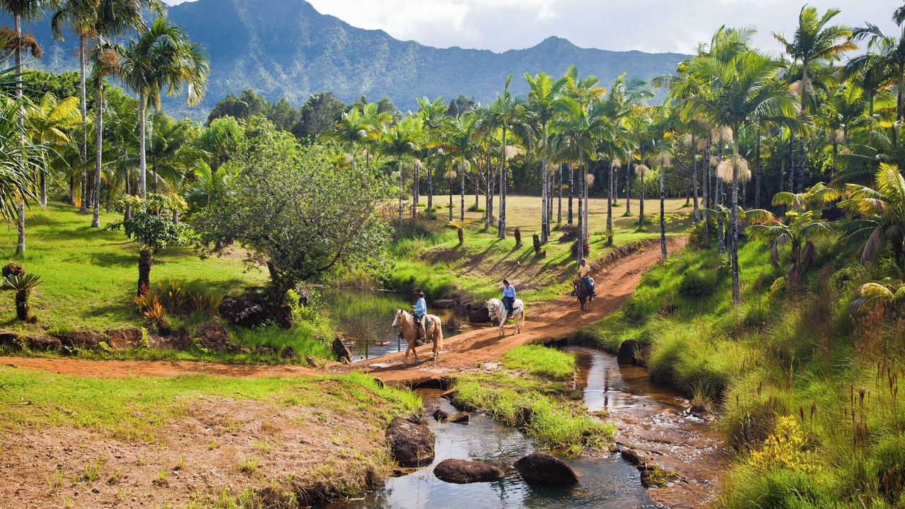 Photo of Others in Kaiulani