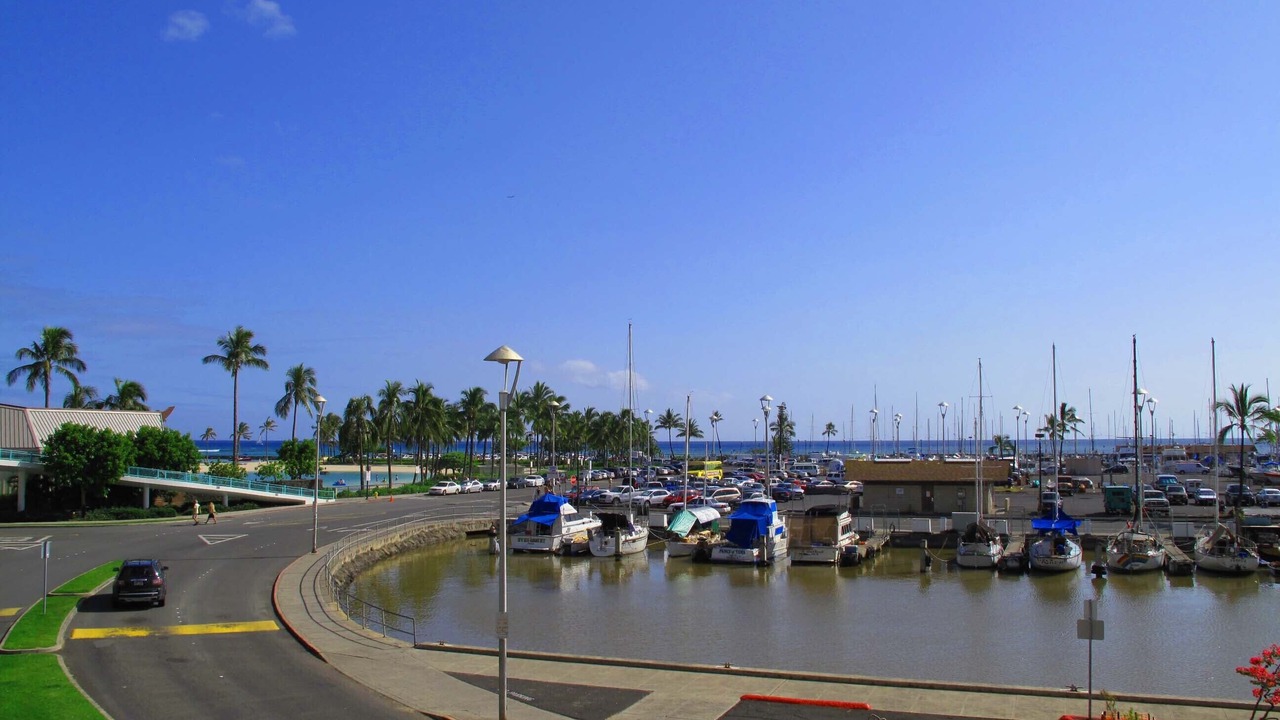 Photo of Others in Waikiki