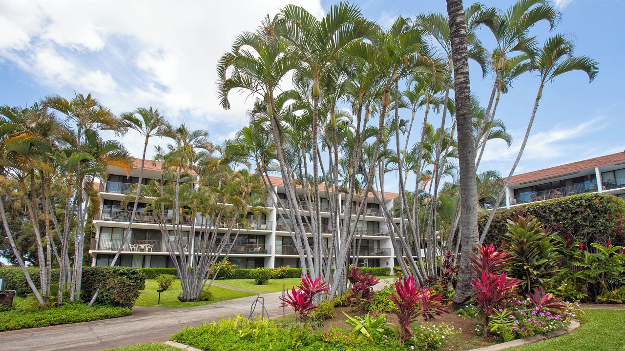 Photo of Others in Kihei