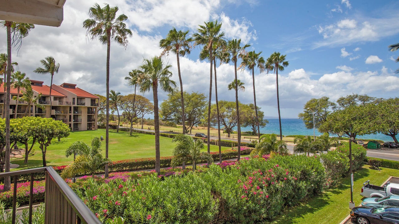 Photo of Others in Kihei