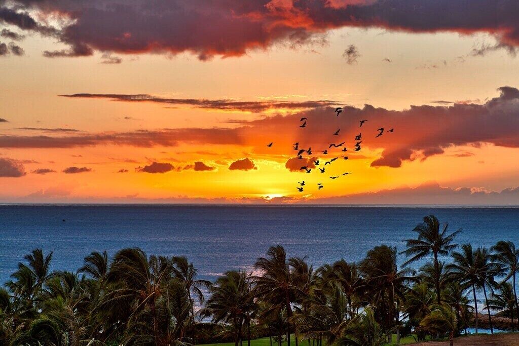 Photo of Others in Ko Olina