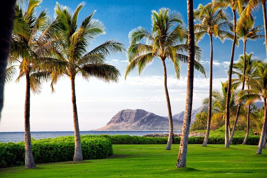 Photo of Others in Ko Olina