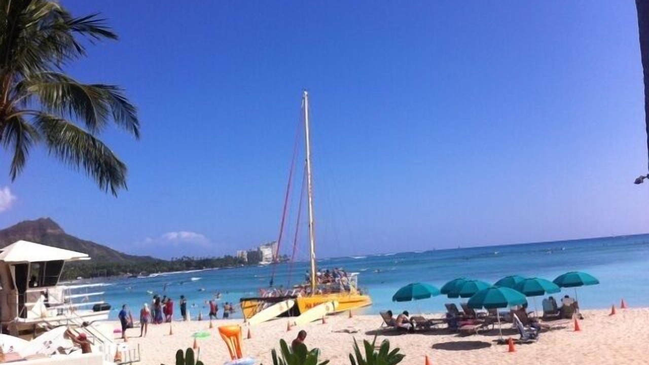 Photo of Others in Waikiki