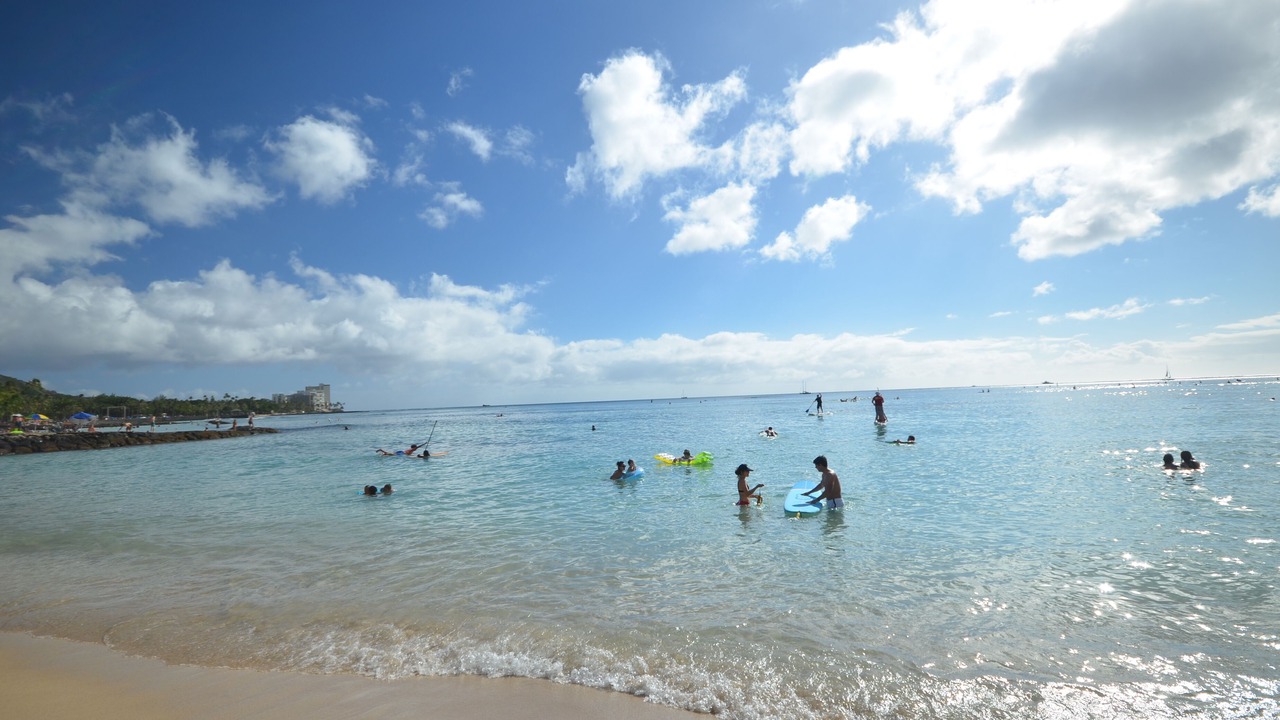 Photo of Others in Honolulu