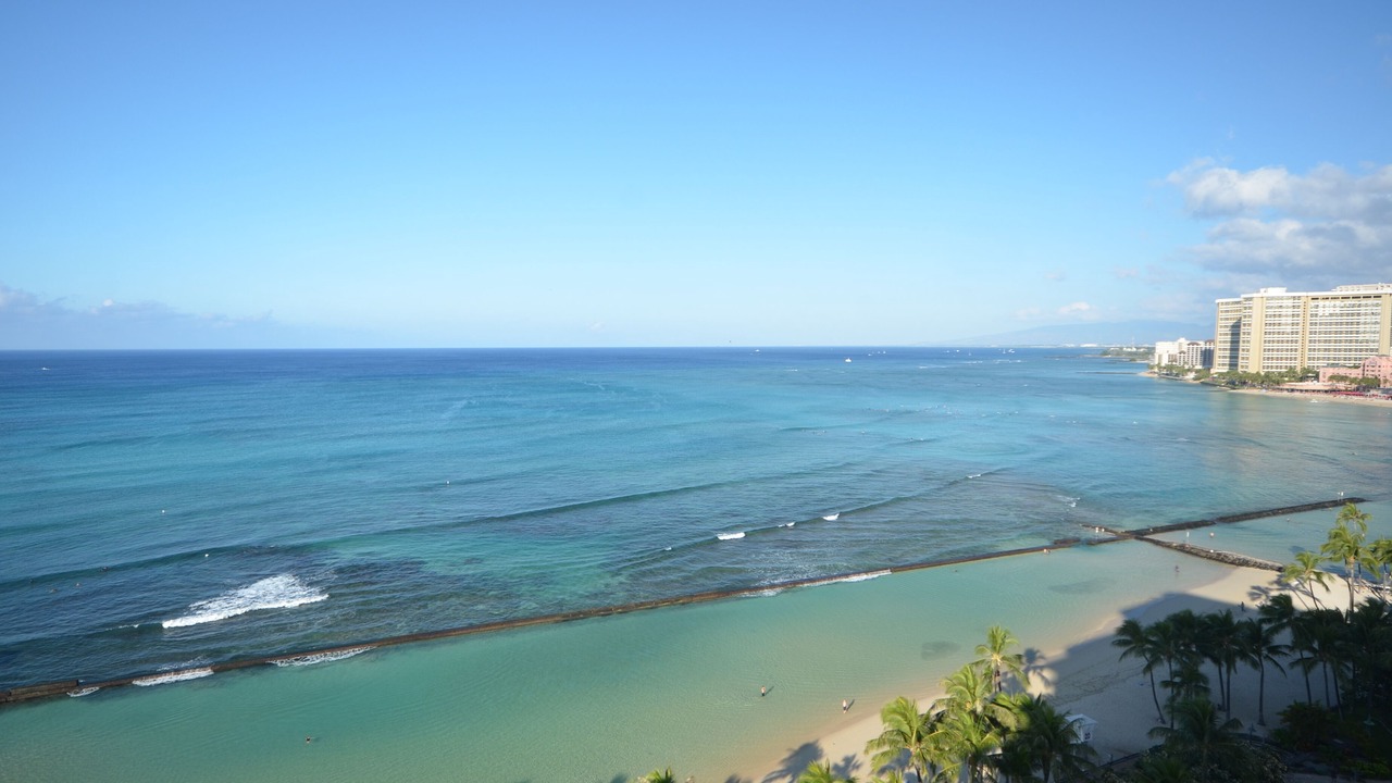 Photo of Others in Honolulu