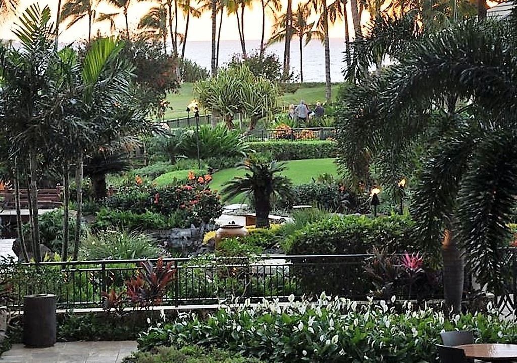 Photo of Others in Ko Olina