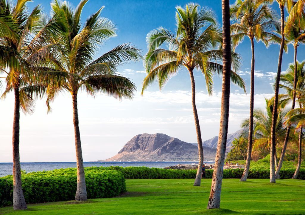 Photo of Others in Kapolei