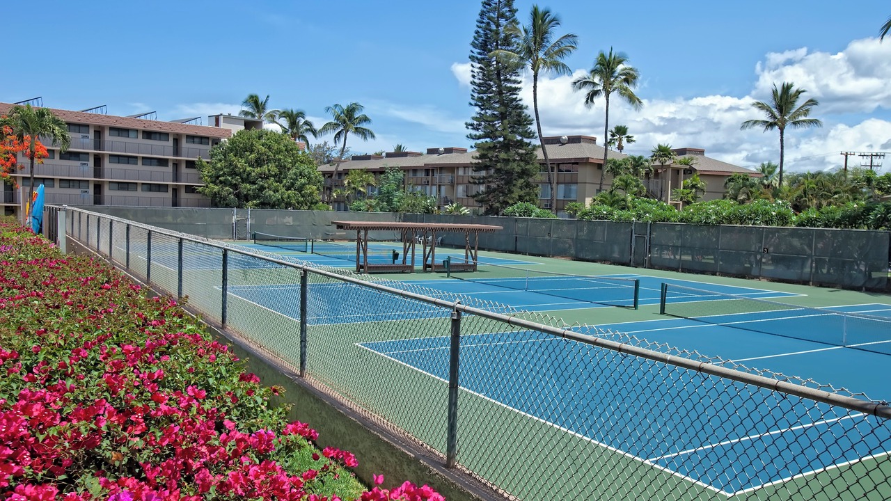 Photo of Others in Kihei