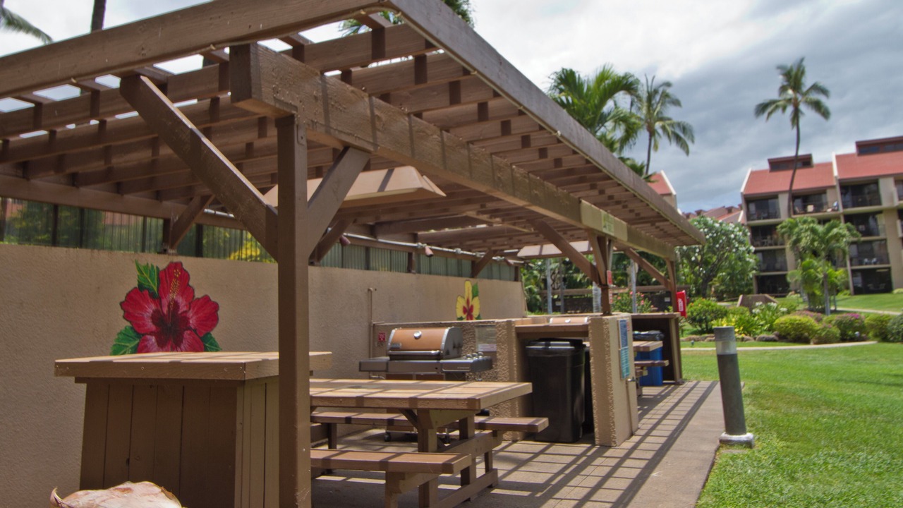 Photo of Others in Kihei