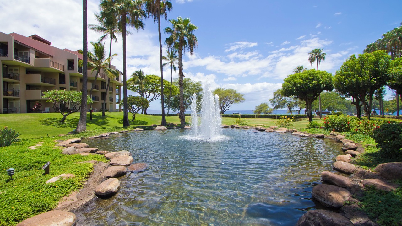 Photo of Others in Kihei