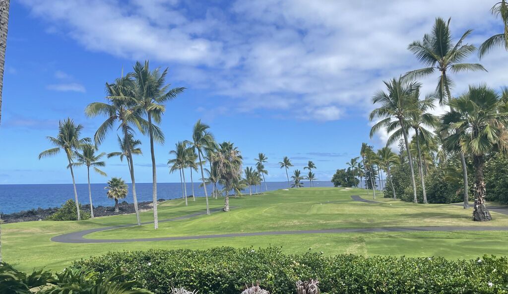 Photo of Others in Keauhou