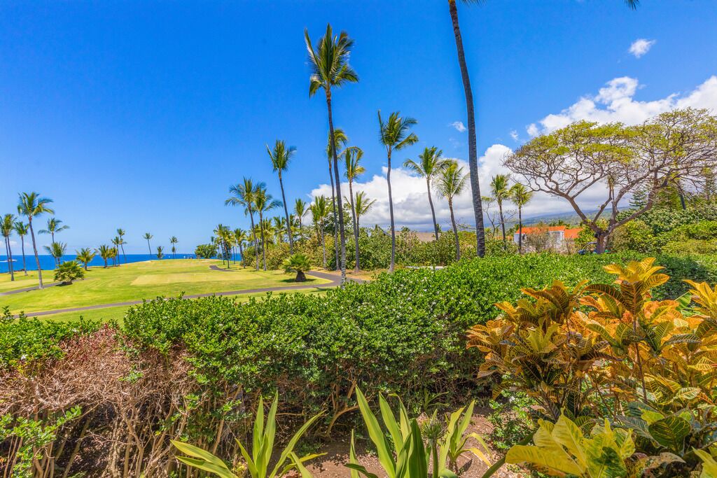 Photo of Others in Keauhou