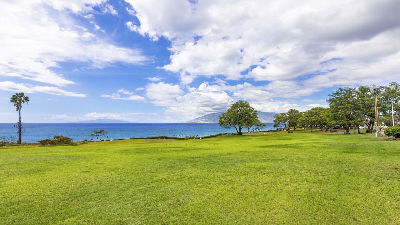 Photo of Others in Kihei