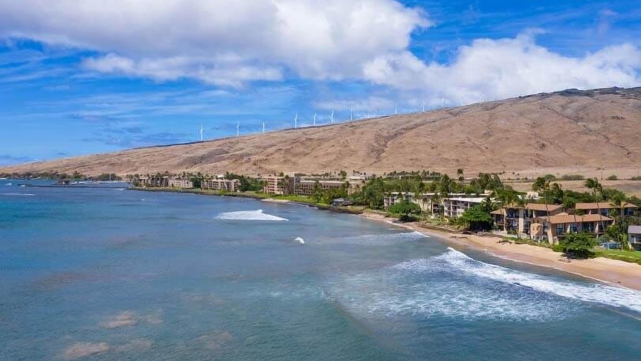 Photo of Others in Maalaea