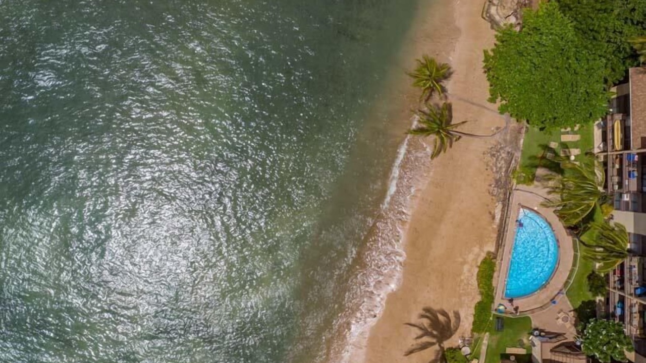 Photo of Others in Maalaea
