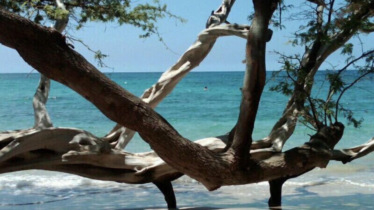 Photo of Others in Waikoloa