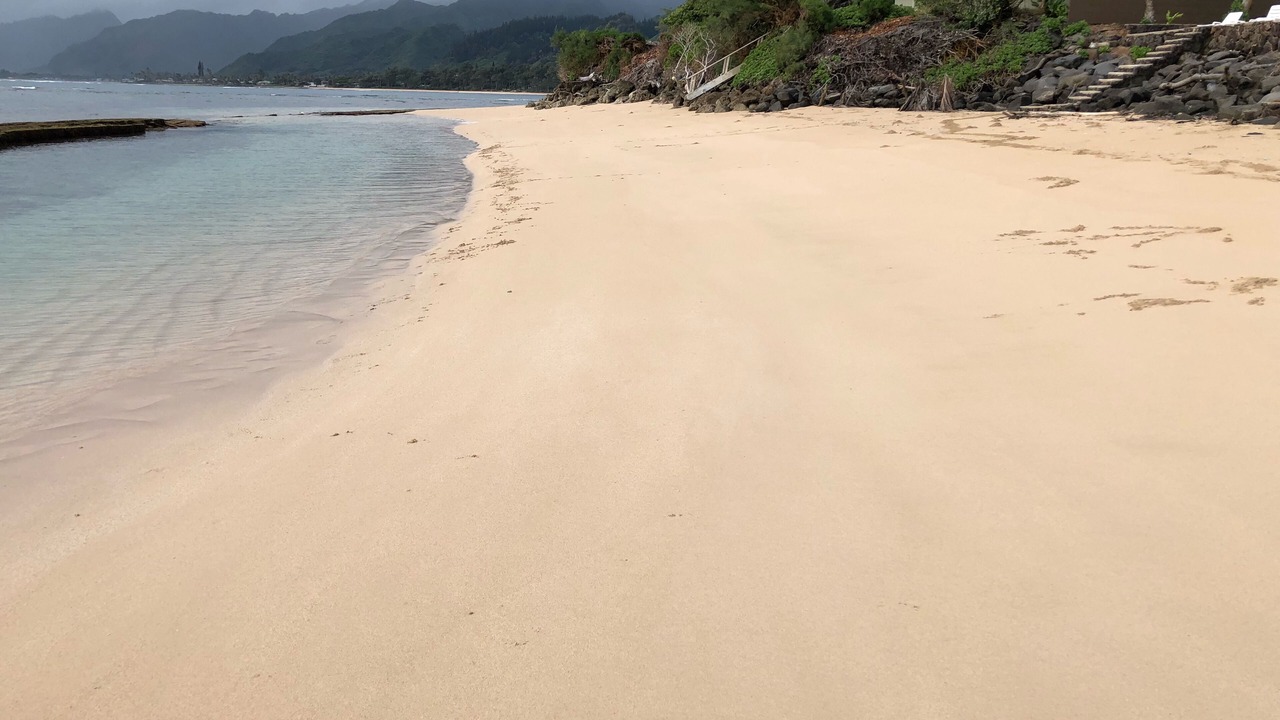 Photo of Others in Laie