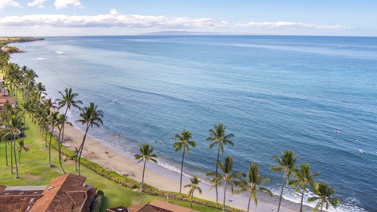 Photo of Others in Downtown Lahaina
