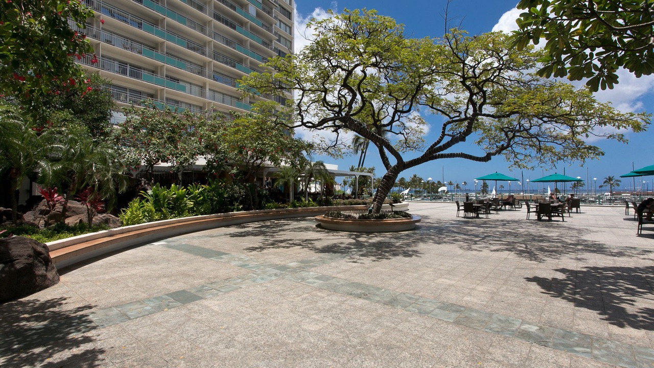 Photo of Outdoor in Waikiki