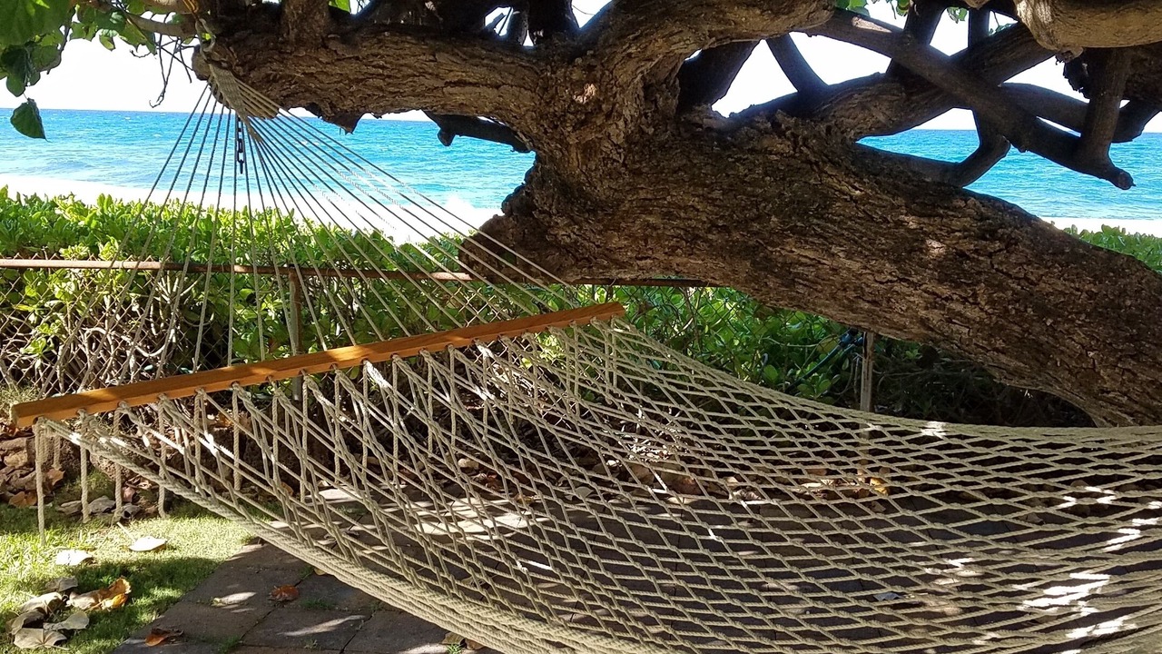 Photo of Others in Makaha