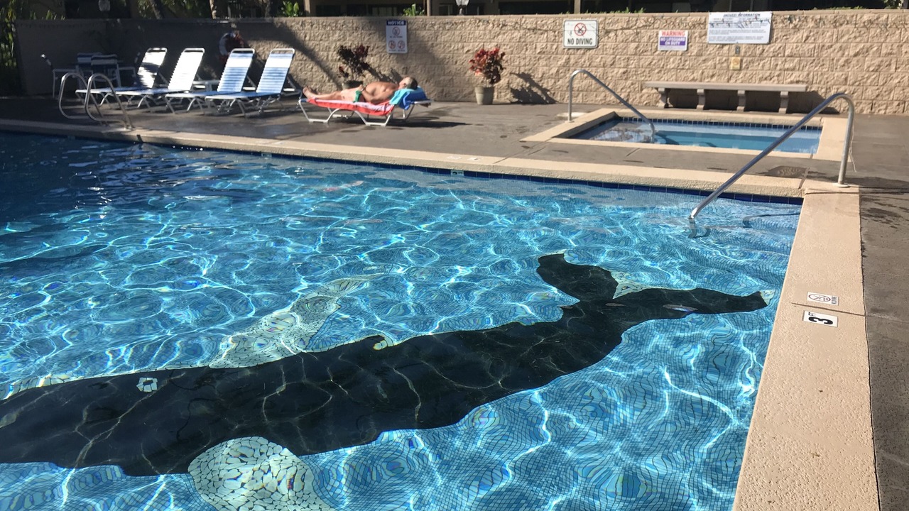 Photo of Outdoor in Kihei
