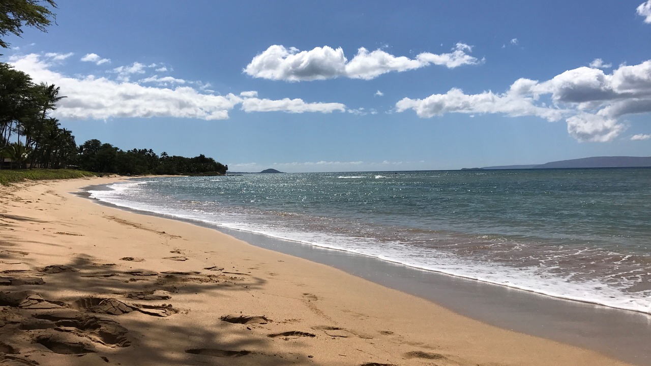 Photo of Others in Kihei