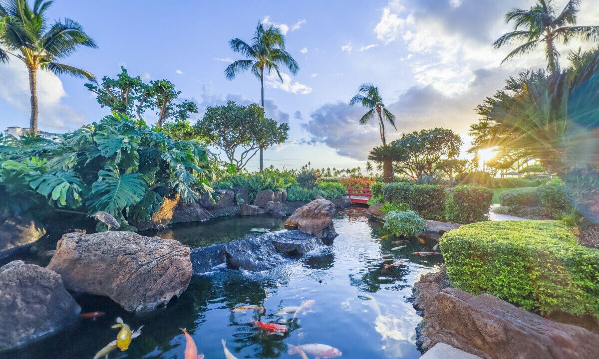 Photo of Others in Ko Olina