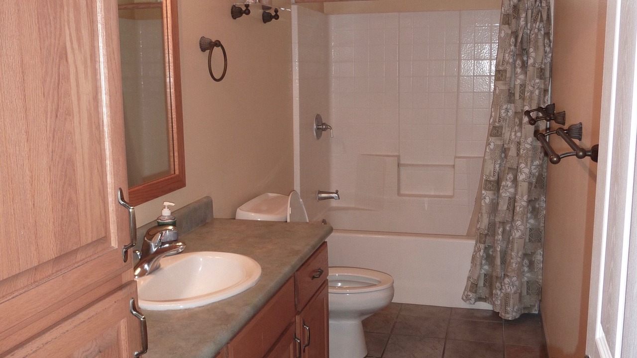 Photo of Bathroom in Kapoho