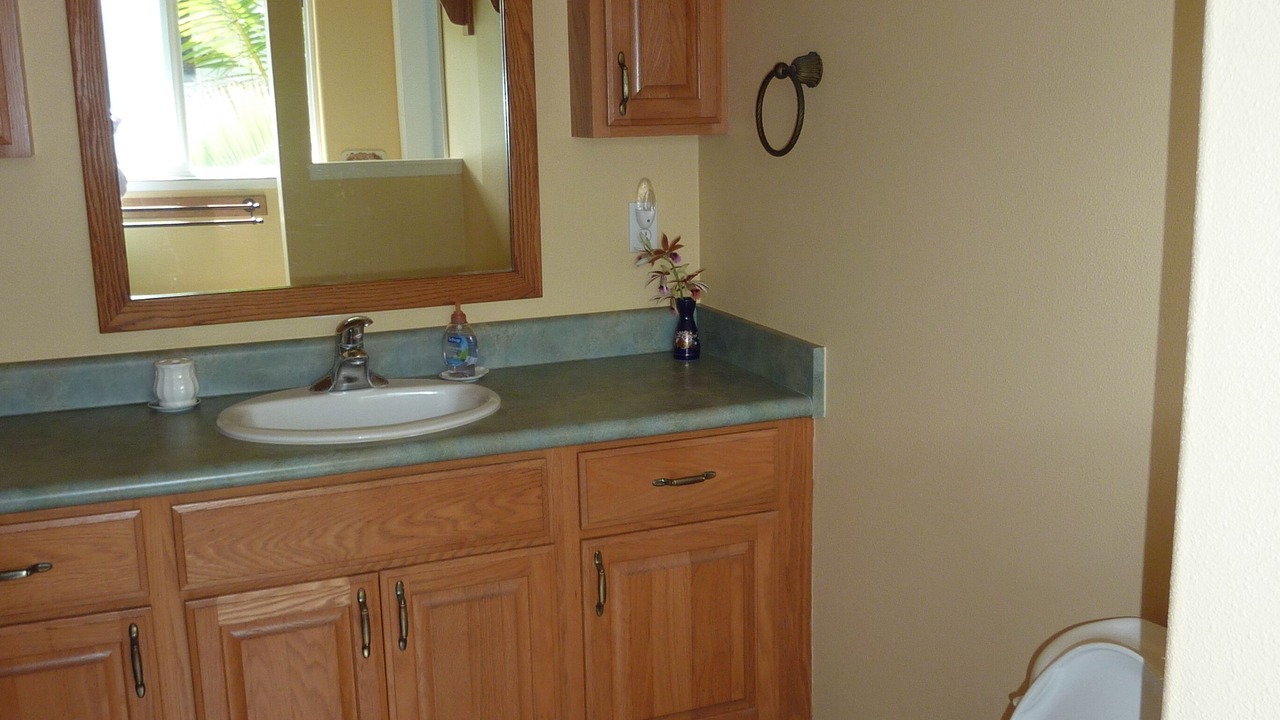 Photo of Bathroom in Kapoho