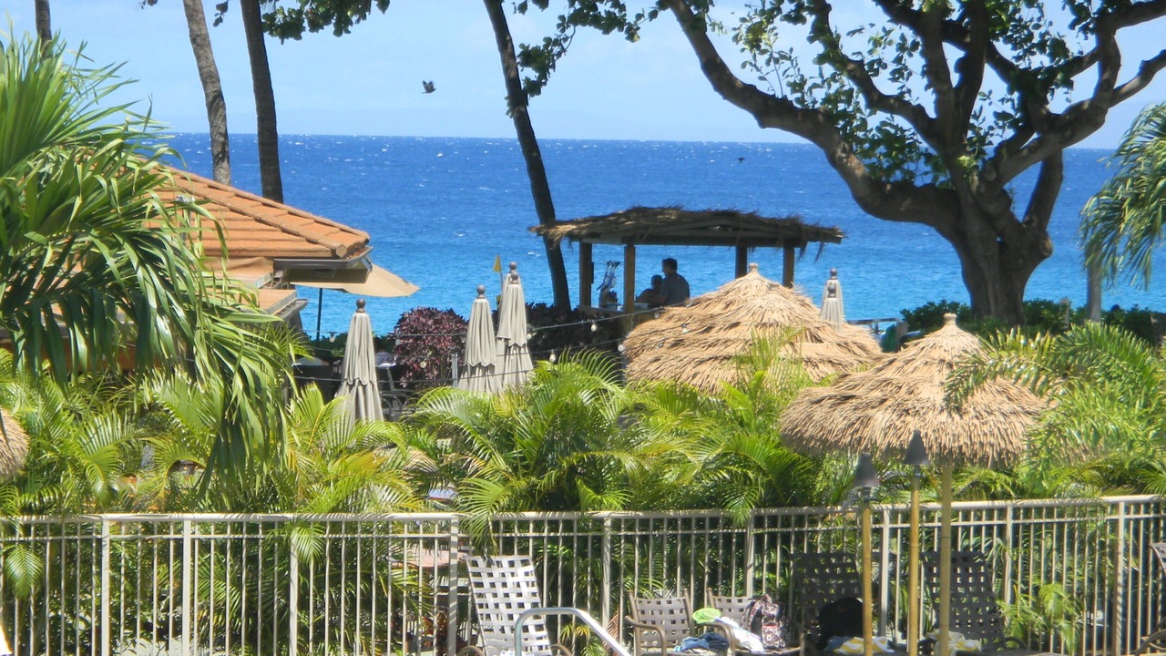 Photo of Others in Kaanapali