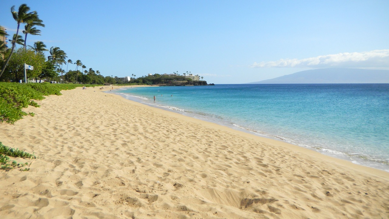 Photo of Others in Kaanapali