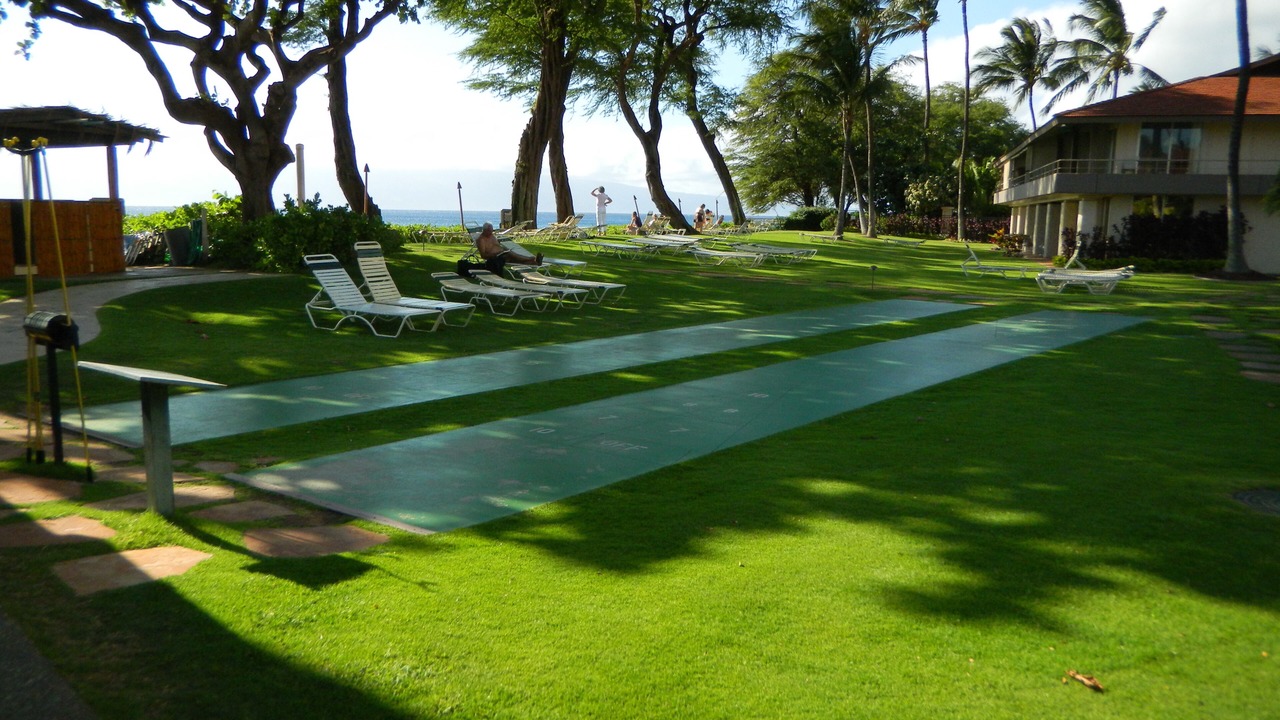 Photo of Others in Kaanapali