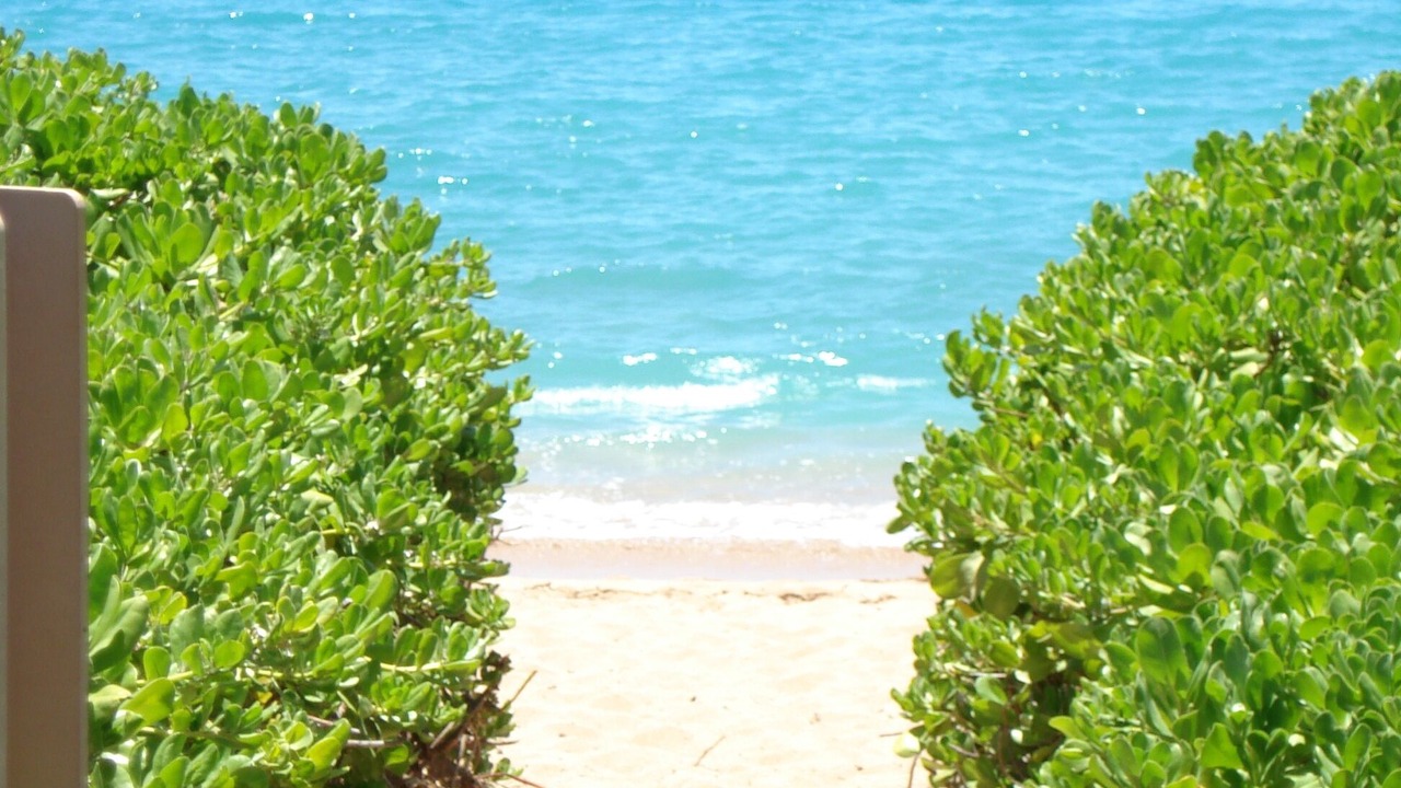 Photo of Others in Kaanapali