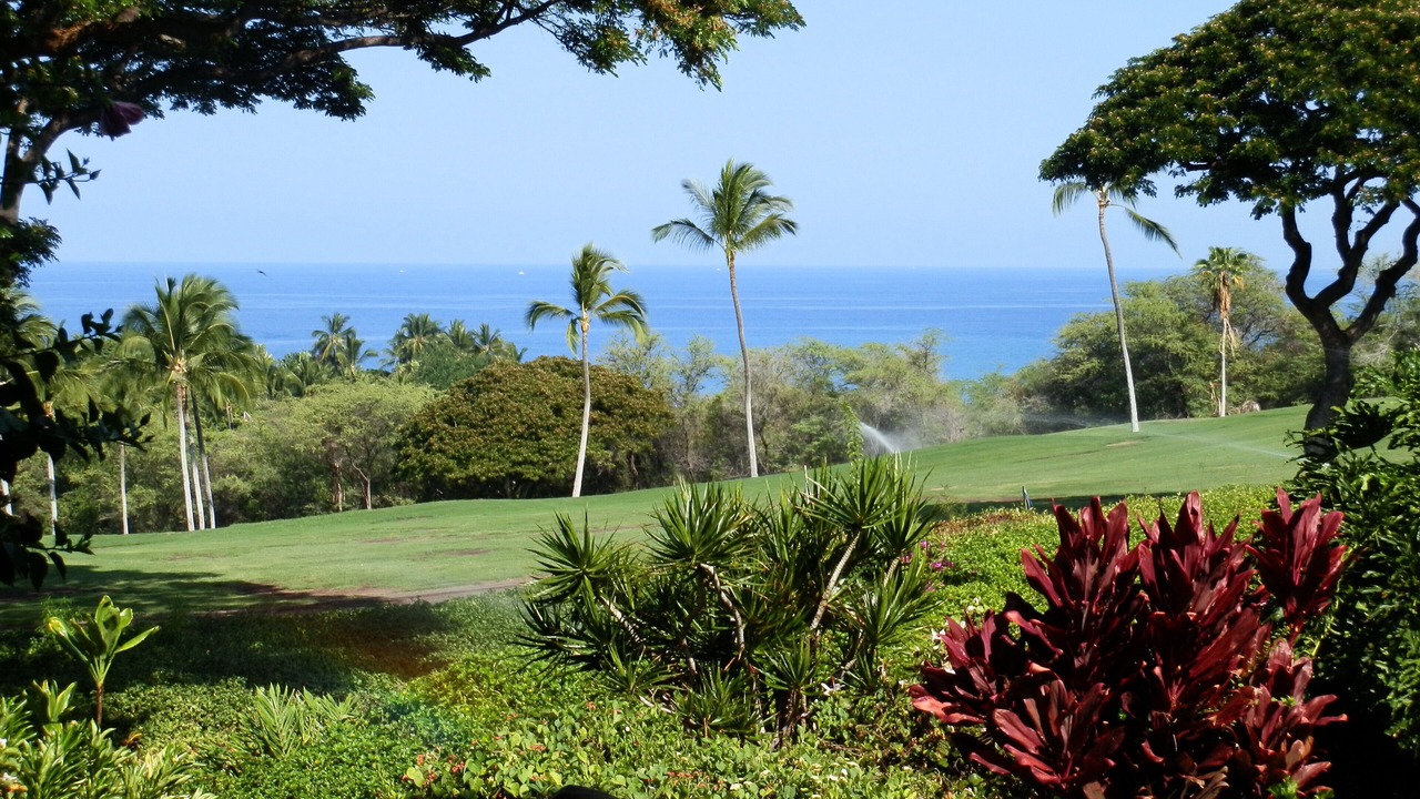 Photo of Others in Keauhou