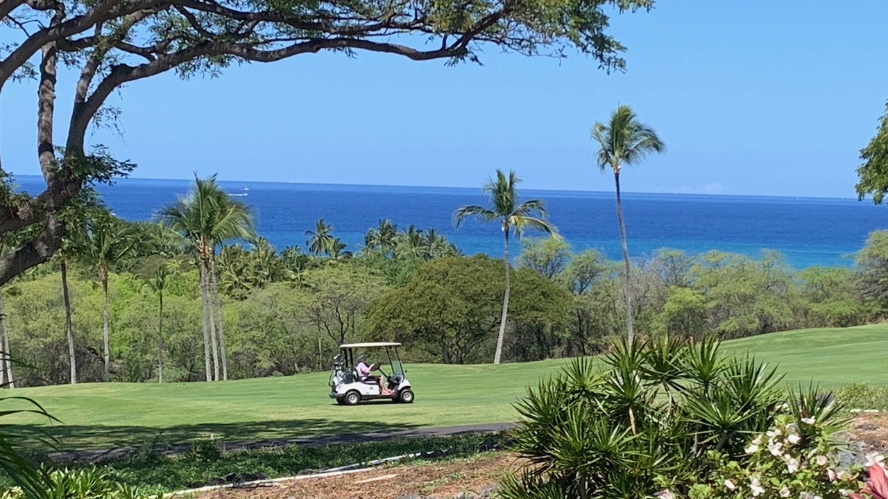 Photo of Others in Keauhou