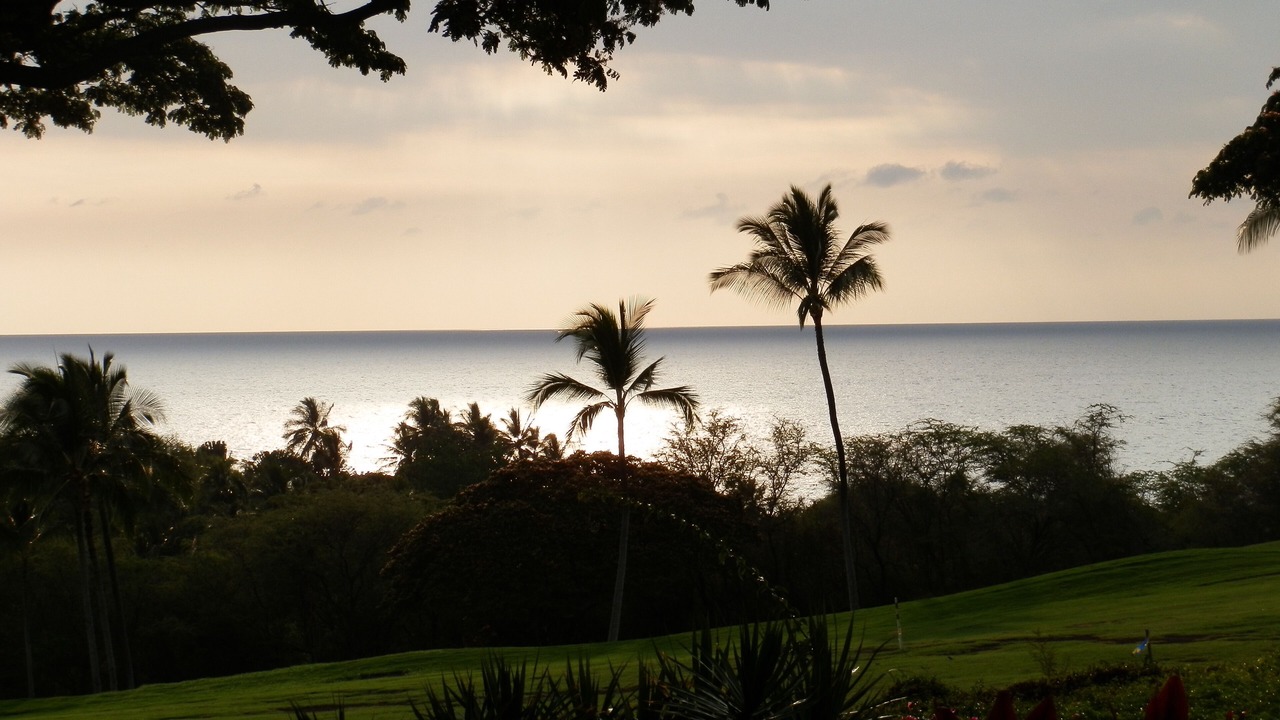 Photo of Others in Keauhou