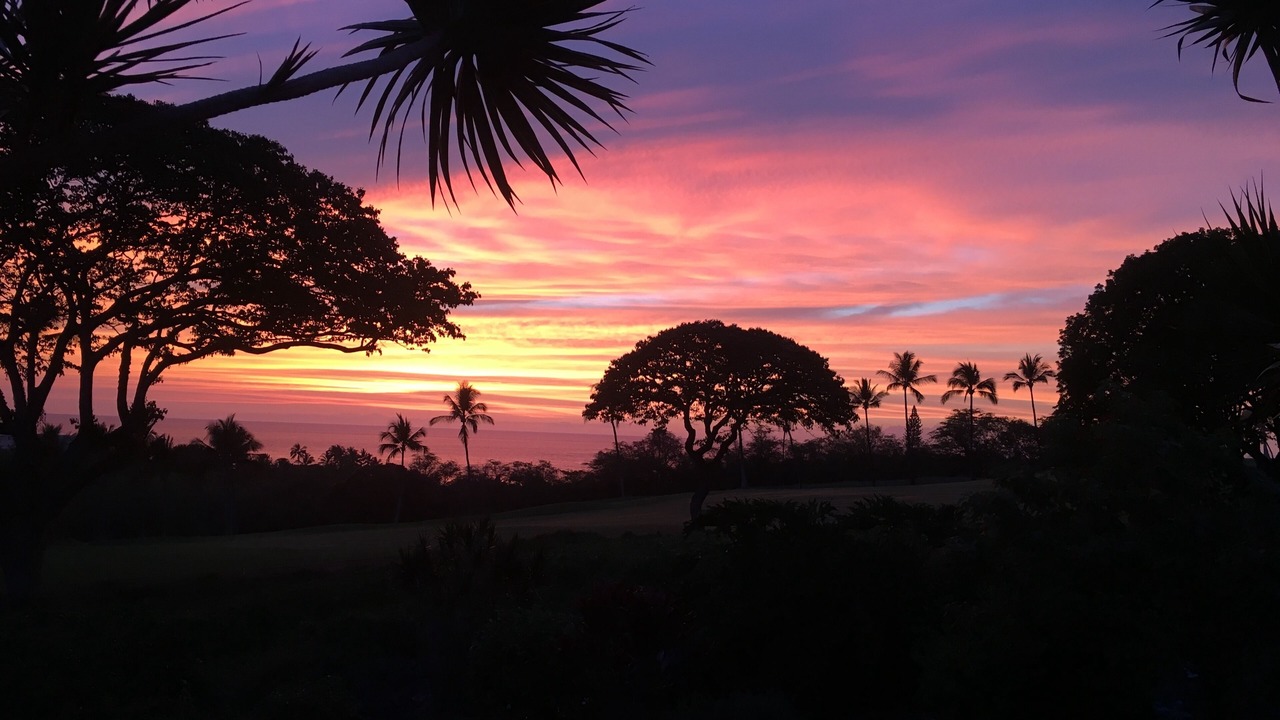 Photo of Others in Keauhou