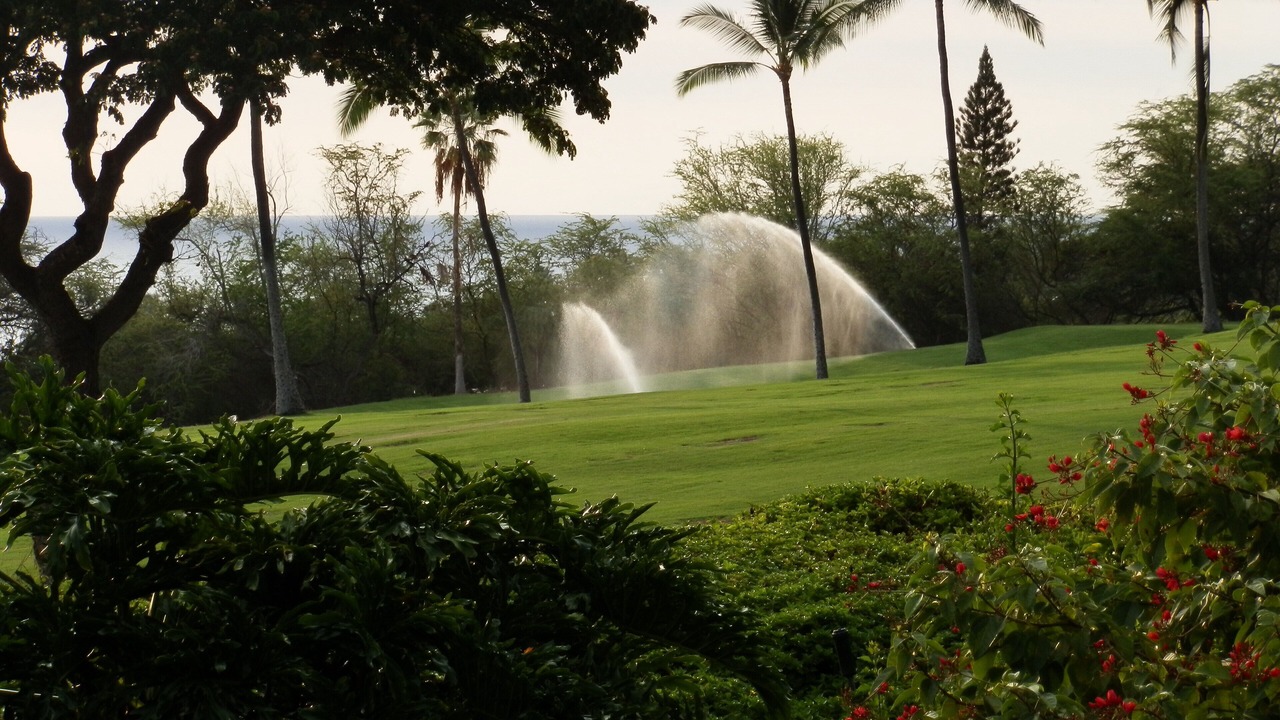 Photo of Others in Keauhou