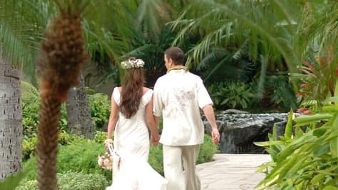 Photo of Outdoor in Waikiki