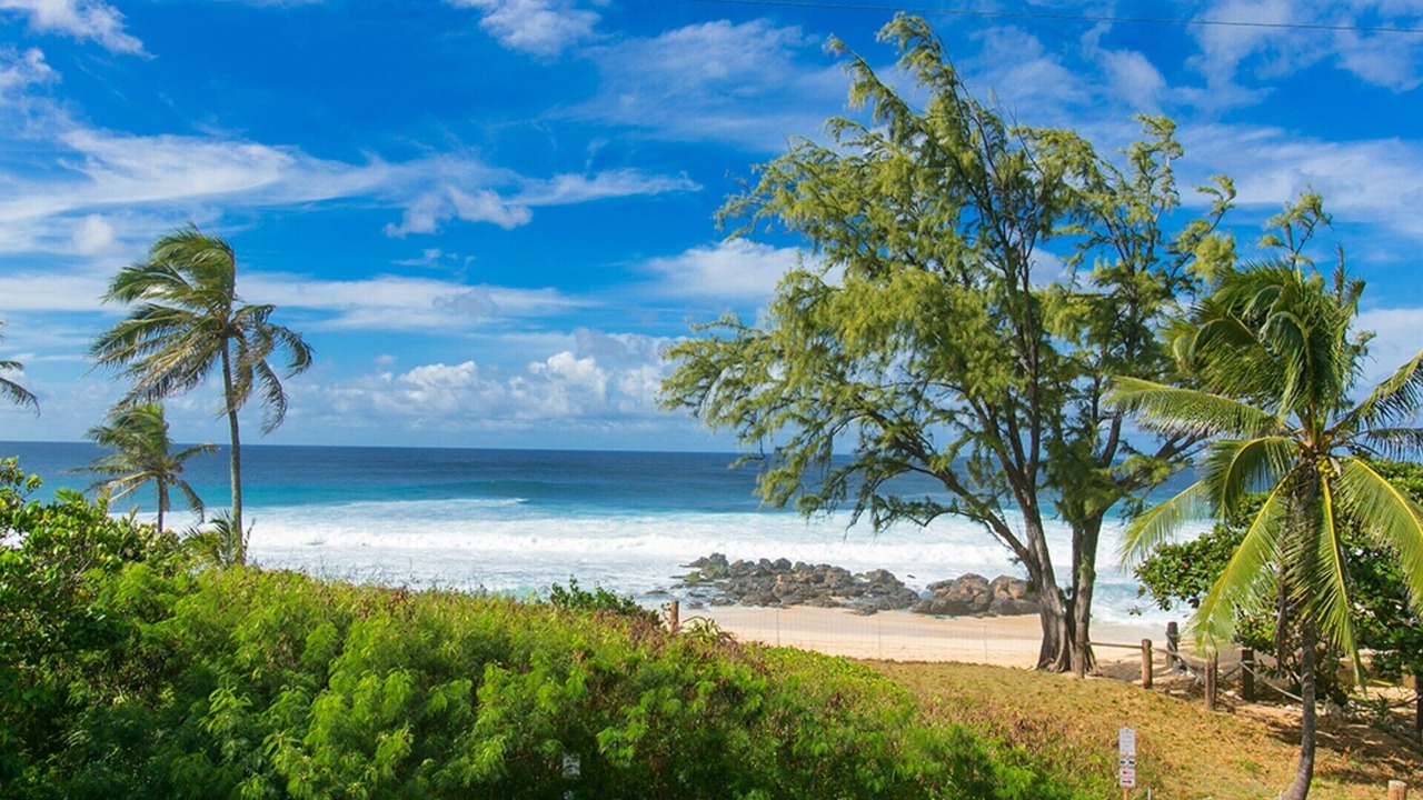Photo of Others in Pupukea