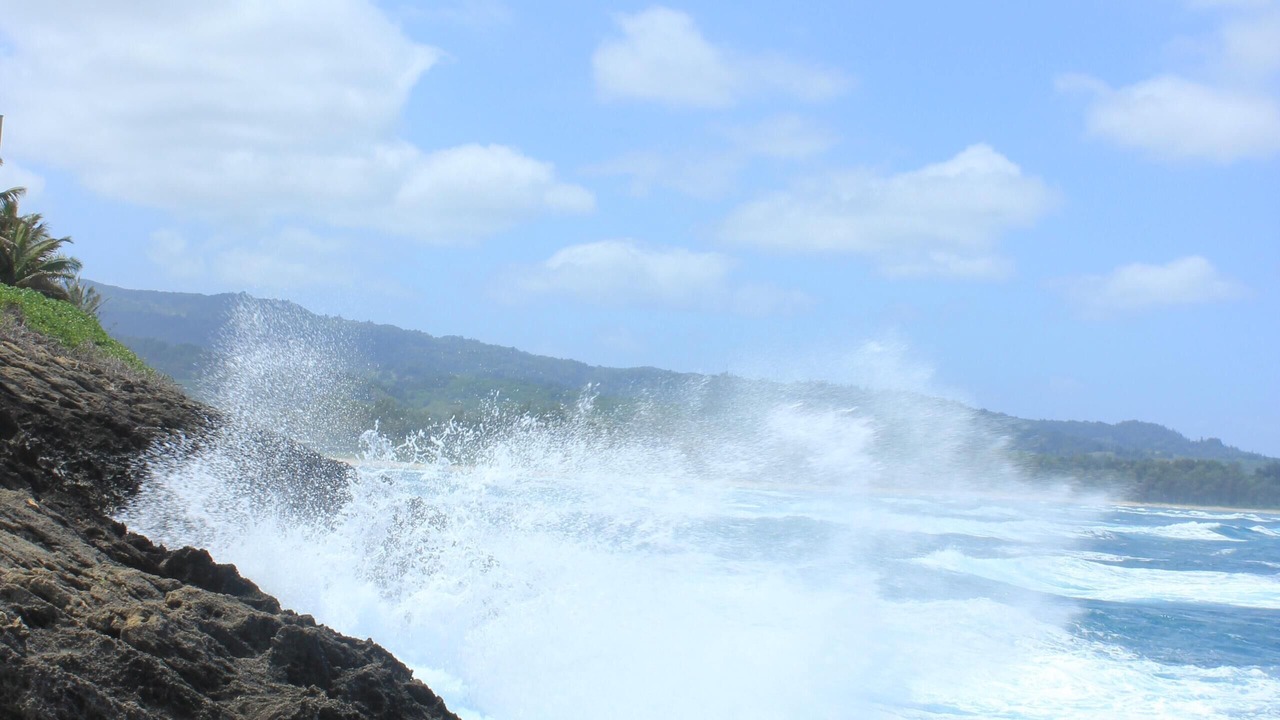 Photo of Others in Laie