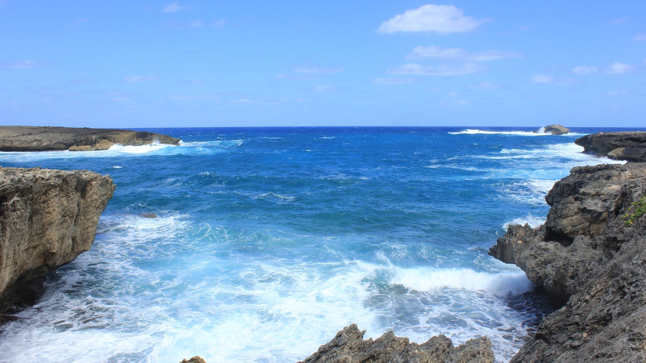 Photo of Others in Laie