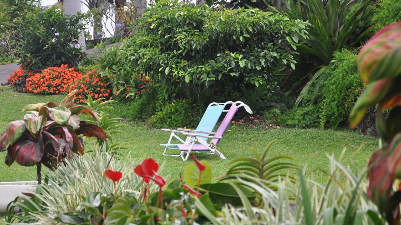 Photo of Outdoor in Kalaoa