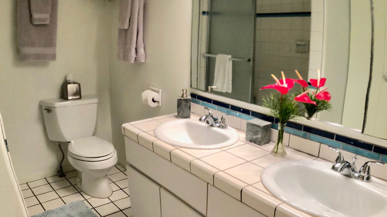 Photo of Bathroom in Kalaoa