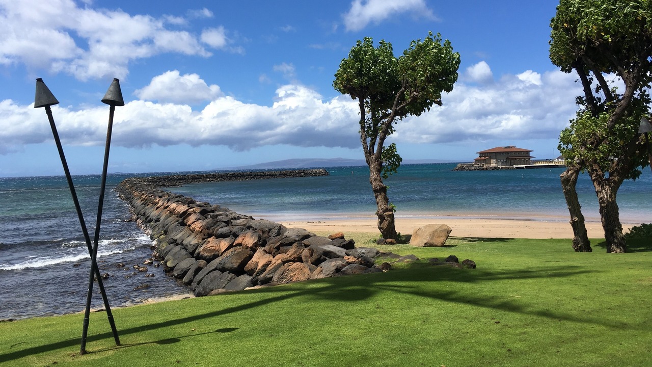 Photo of Others in Maalaea