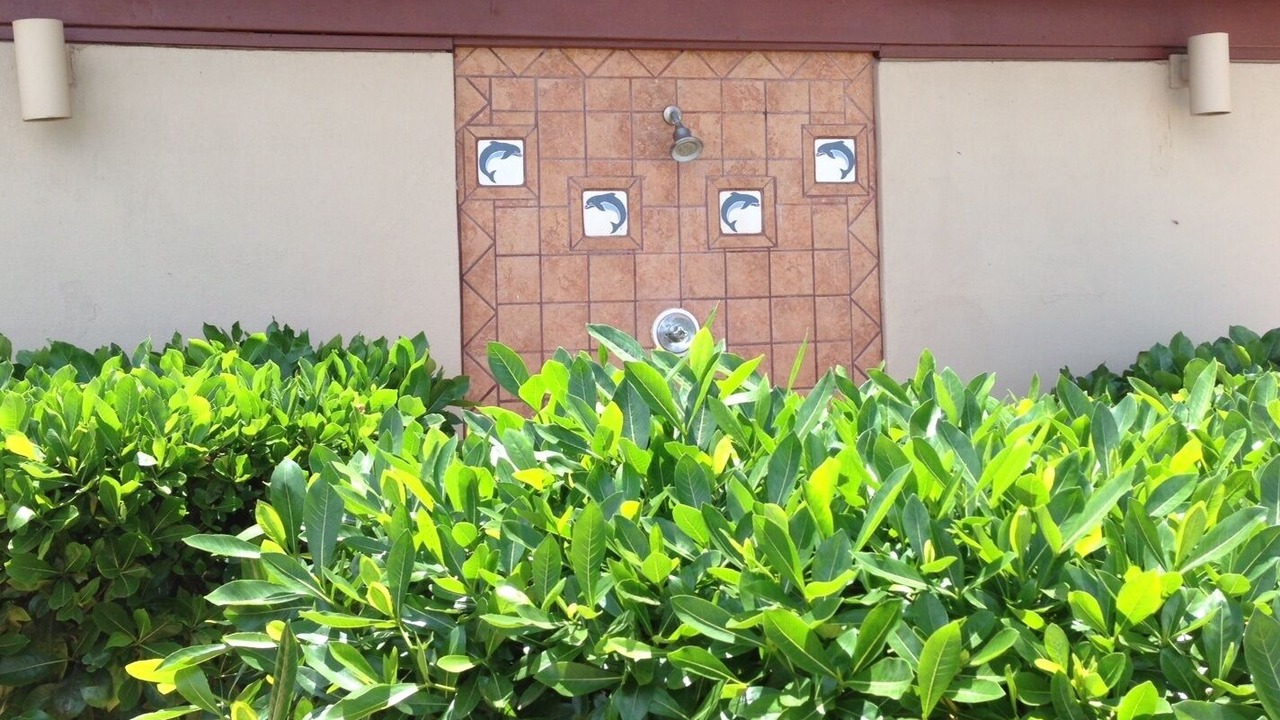 Photo of Outdoor in Maalaea